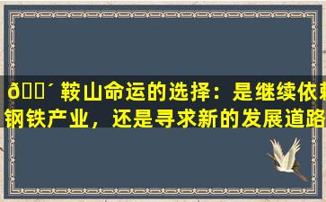 🐴 鞍山命运的选择：是继续依赖钢铁产业，还是寻求新的发展道路